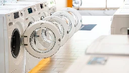 Umfrage: Darum sind Eco-Programme bei Spül- und Waschmaschine so unbeliebt