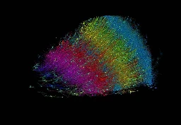 This is a human brain iris neuron portrait