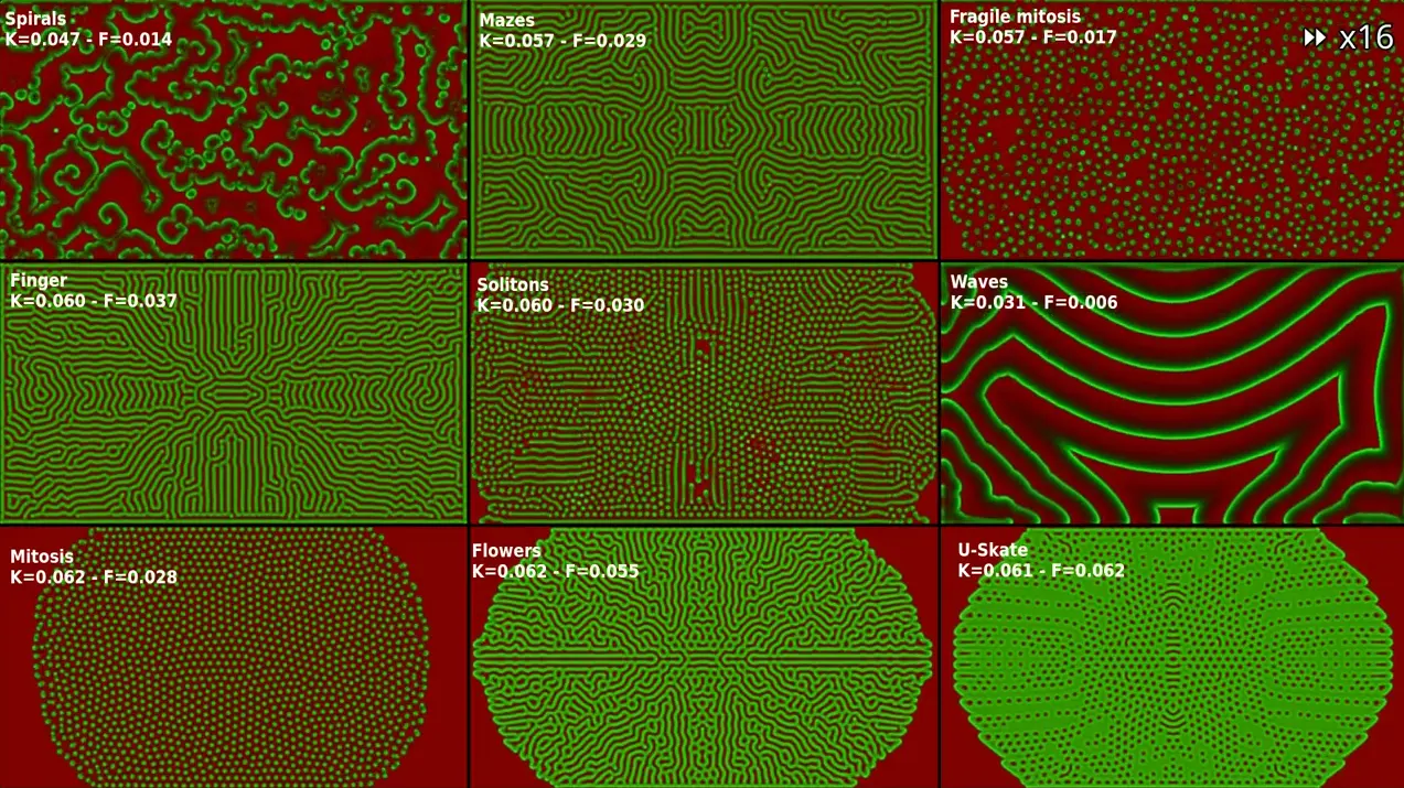 Mitosis in the Gray-Scott model : writing shader-based chemical simulations