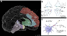 Serotonin changes how people learn and respond to negative information