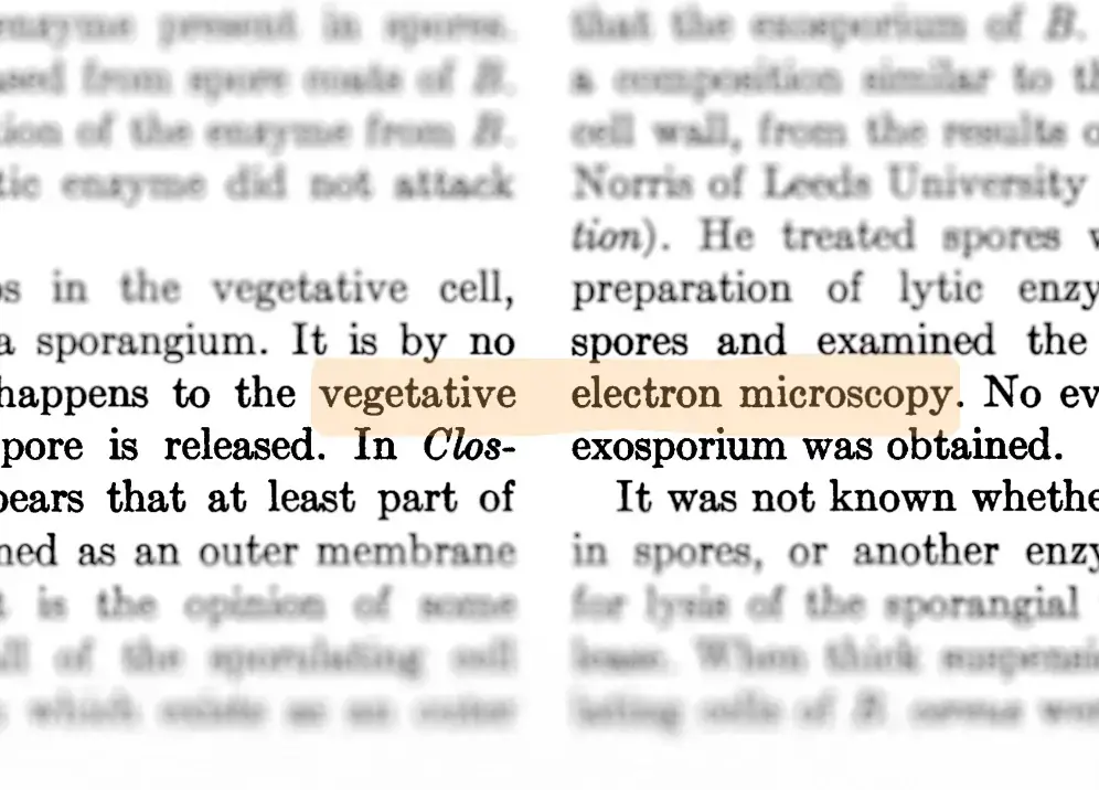 How AI slop generators started talking about ‘vegetative electron microscopy’