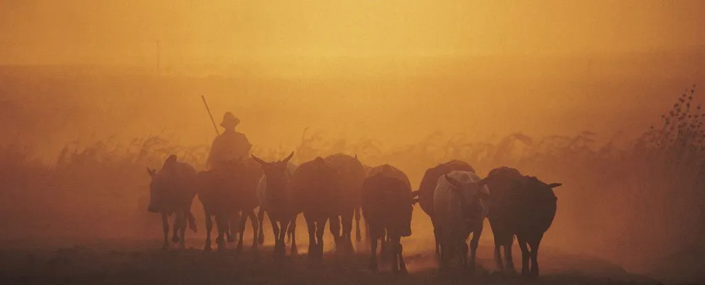 Scientists Warn 1 Billion People on Track to Die From Climate Change