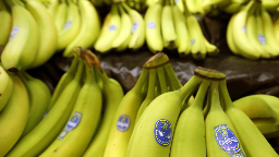 US jury holds banana giant Chiquita liable for financing Colombia paramilitaries