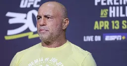 Rogan wants UFC rules rebalanced for grapplers: ‘If it’s boring, tough s—!’