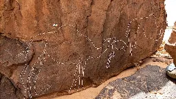 Mysterious and 'beautifully carved' life-size camel carvings discovered in Saudi Arabian desert