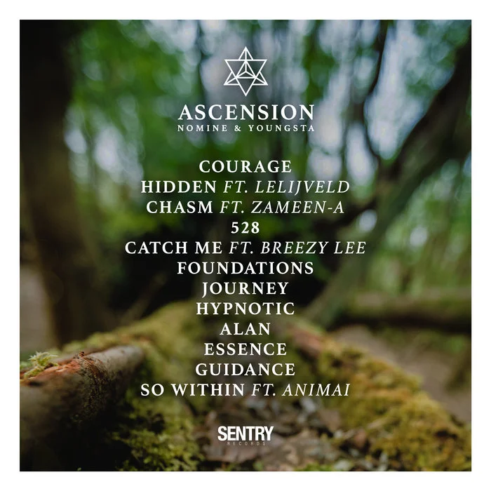 Ascension, by Nomine & Youngsta