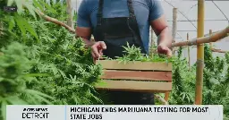 Michigan ends marijuana testing for most state jobs