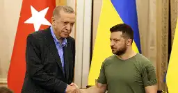 Erdoğan backs Ukraine’s NATO bid, says Putin will visit Turkey ‘next month’