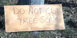 Homeowner narrowly saves trees from removal scam
