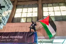 What happened outside Mount Sinai Hospital as a pro-Palestine rally passed by?