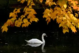 These are the best places in Yorkshire to visit if you are a lover of nature and wildlife