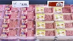 Bisher deutlich teurer als tierische Lebensmittel: Discounter Lidl senkt die Preise für pflanzliche Alternativprodukte