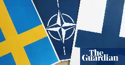 ‘Putin has left us no option’: Finnish and Swedish readers on joining Nato