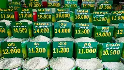Rice prices soar, fanning fears of food inflation spike in Asia