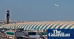 Bear escapes from crate in plane’s cargo hold at Dubai airport