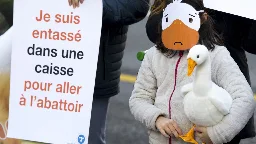 Parliament rejects import ban on foie gras