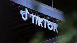 TikTok fails 'disinformation test' before EU vote, study shows