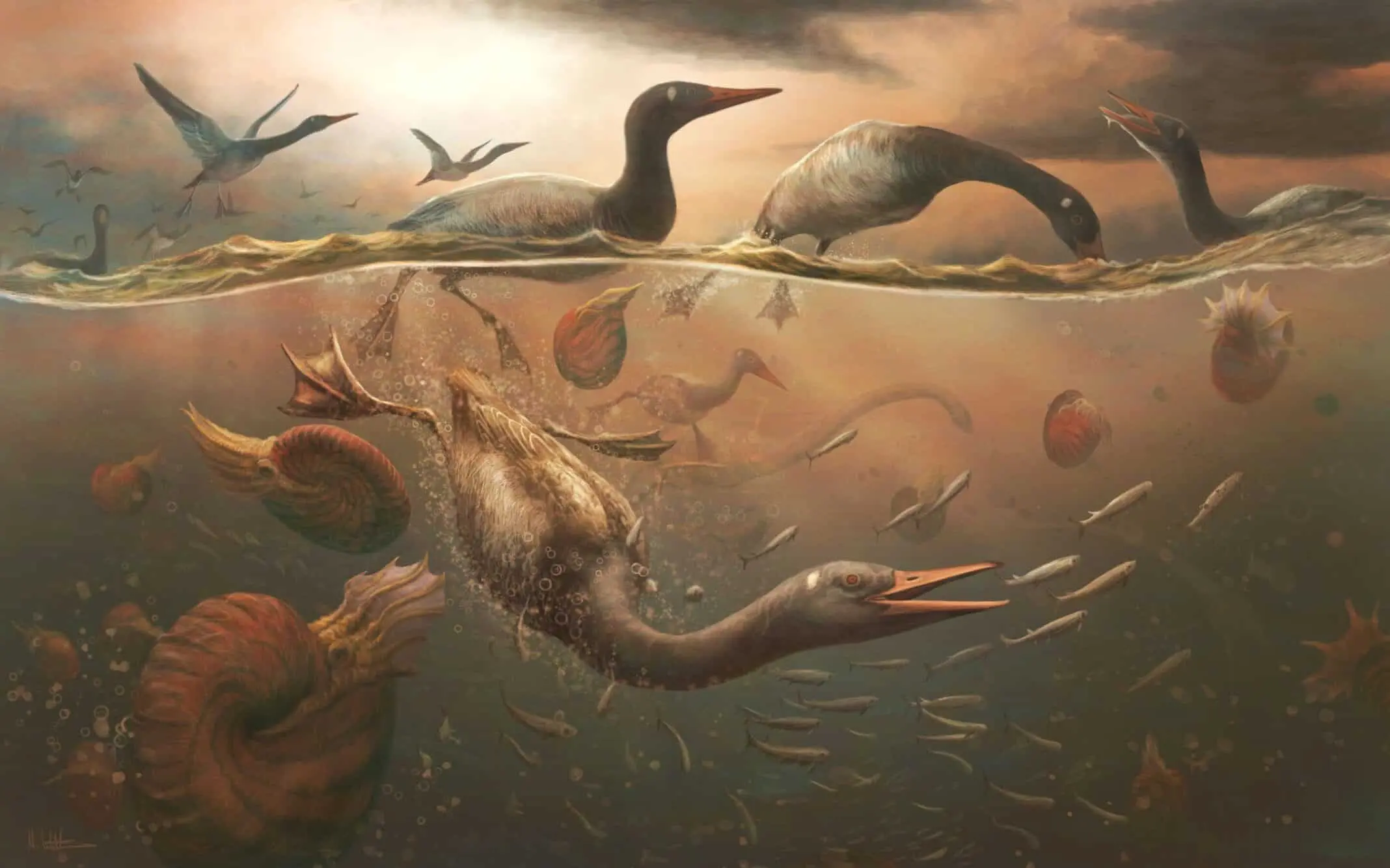 An important new fossil of the oldest known modern bird