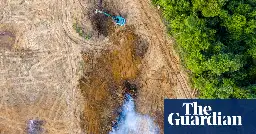 Deforestation ‘roaring back’ despite 140-country vow to end destruction