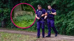 "Löwin" wohl doch ein Wildschwein: Gefährdungslage in Berlin und Brandenburg aufgehoben