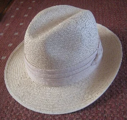 Panama hat - Wikipedia
