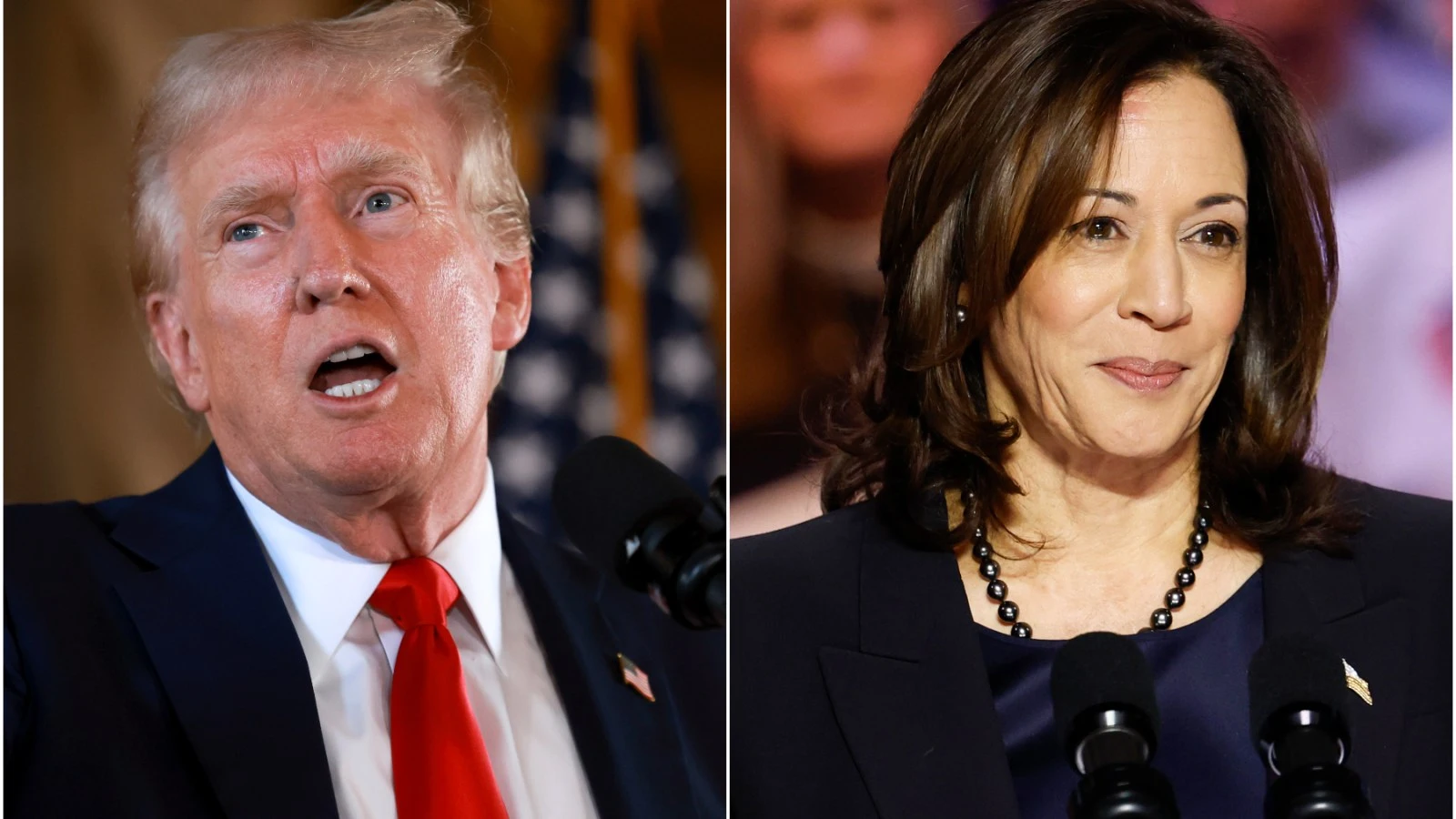 Trump Warns That if Kamala Harris Wins, 'Everybody Gets Health Care'