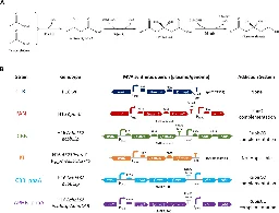 Enhancing microbe memory to better upcycle excess CO&#8322;