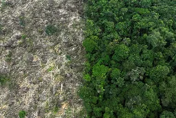 Amazon deforestation dropped 34 percent, reversing trend