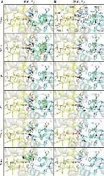 Oxygen-evolving photosystem II structures during S1–S2–S3 transitions - Nature