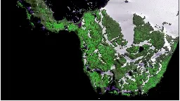 Parts of Antarctica are turning green faster than we thought from climate change, 'shocked' scientists say