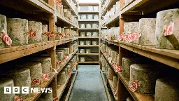 More than 22 tonnes of cheddar stolen from Neal's Yard Dairy