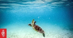 Great Barrier Reef already been dealt its death blow - scientist