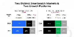Wear OS, HarmonyOS to Register Strong Growth in Global Smartwatch Market in 2024