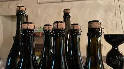 Folie um Sektflaschen keine EU-Pflicht mehr: Winzer im Weinanbaugebiet Mosel jubilieren