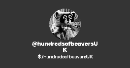 Hundreds of Beavers UK & Ireland Tour 2025