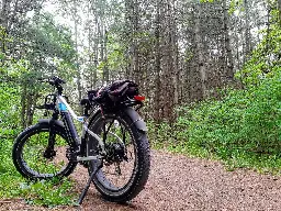 Went for a ride in the forest on my 750w fatbike