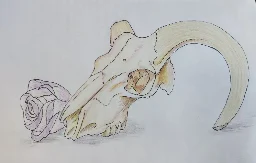 Skull and flower