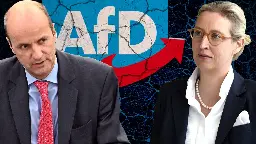 Nicolaus Fest ausgeschlossen: „Befürchtet hatte ich eine Verurteilung zu lebenslanger AfD-Mitgliedschaft“ - WELT