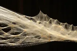 6x Tougher Than Kevlar: Spider Silk Is Spun by Genetically Modified Silkworms for the First Time