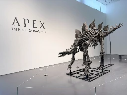 Apex: Largest stegosaurus skeleton ever found to fetch millions at auction