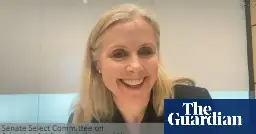 Chatbot interrupts Google executive during Australian Senate hearing on AI – video