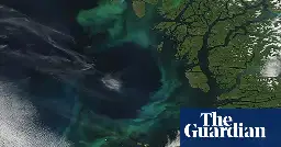 World’s oceans changing colour due to climate breakdown