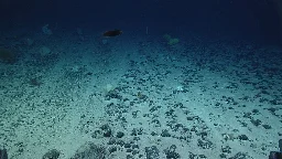 Scientists Shocked by Electric Rocks Producing Oxygen in Deep Ocean