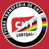 CNT CIT Desfereración (@cnt_lgbtqai) • Instagram photos and videos